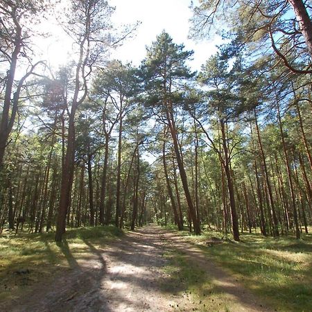 M&K Apartamenty Cztery Brzozy - Wyspa Sobieszewska Гданск Екстериор снимка